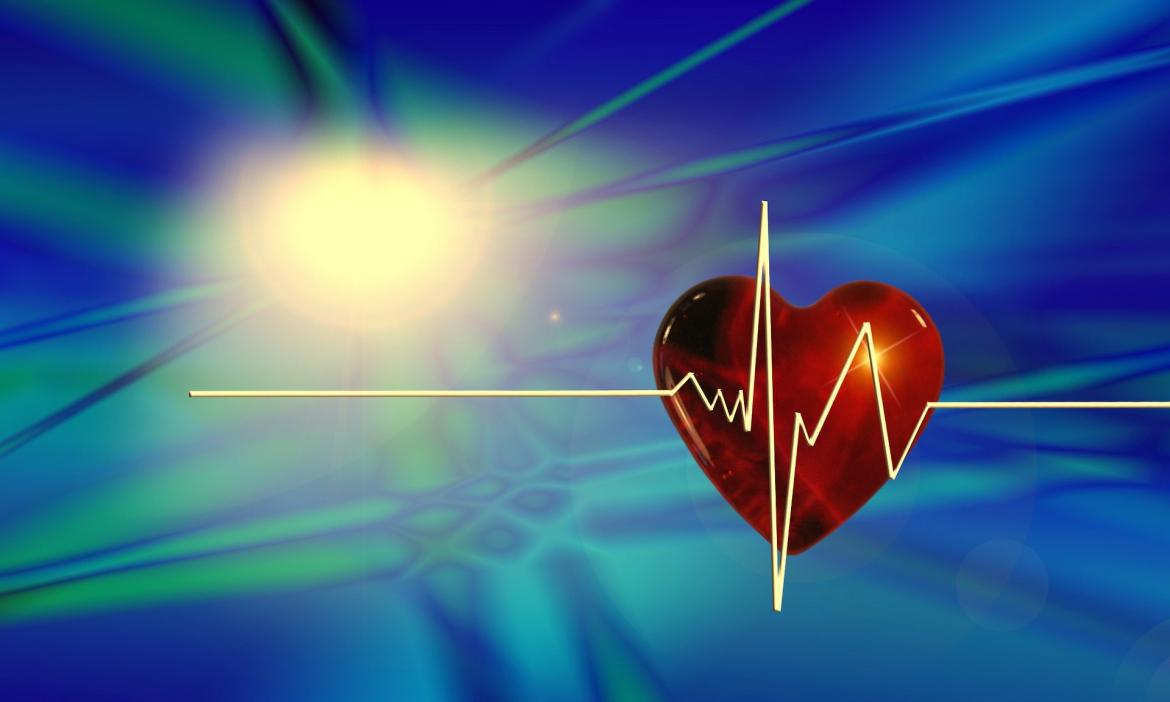 FILIALI CARDIOPROTETTE